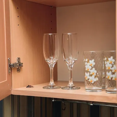 з виглядом на оперний театр Apartman Lviv