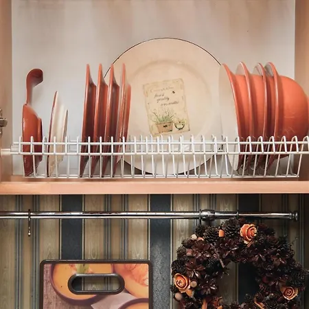 з виглядом на оперний театр شقة إلفيف