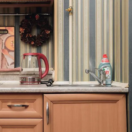 Apartament з виглядом на оперний театр *