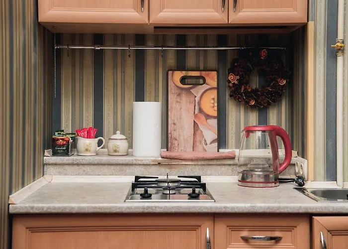 з виглядом на оперний театр